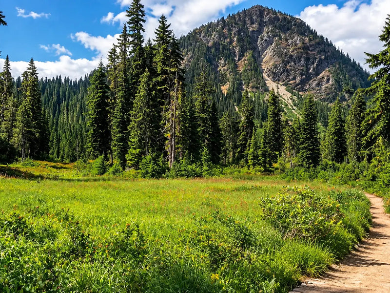 Trail Talk | Experienced Hiker Reflecting On His First Thru-Hike | The Appalachian Trail!