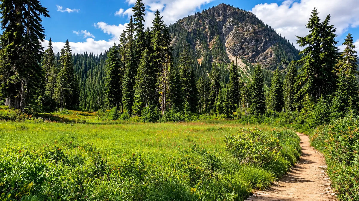 Trail Talk | Experienced Hiker Reflecting On His First Thru-Hike | The Appalachian Trail!
