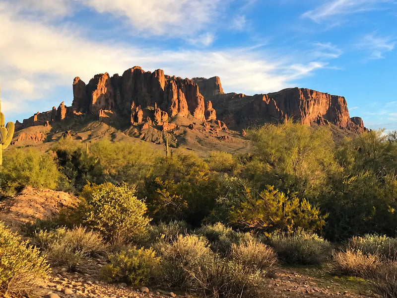Trail Talk | 2019, a 3000+km year | Gear + Food Talk | Pacific North West, Ice Age, & Arizona Trail