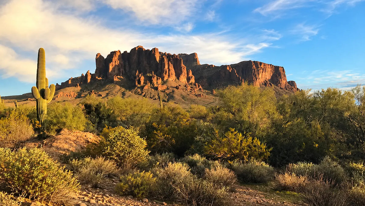 Trail Talk | 2019, a 3000+km year | Gear + Food Talk | Pacific North West, Ice Age, & Arizona Trail