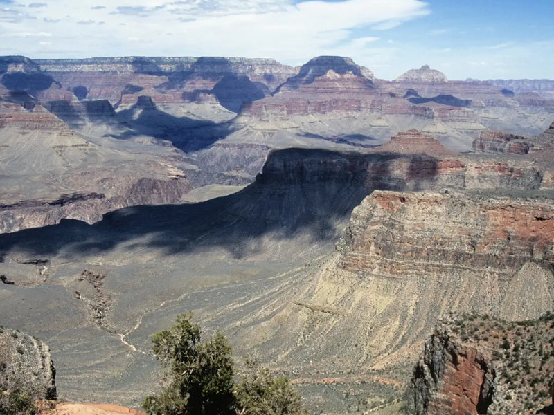 Interview with Lauren - Rim to Rim Trail