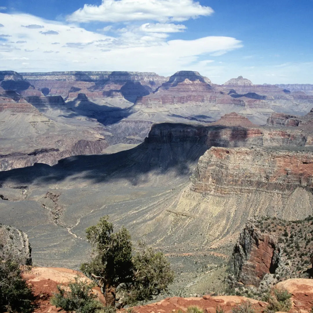 Interview with Lauren - Rim to Rim Trail