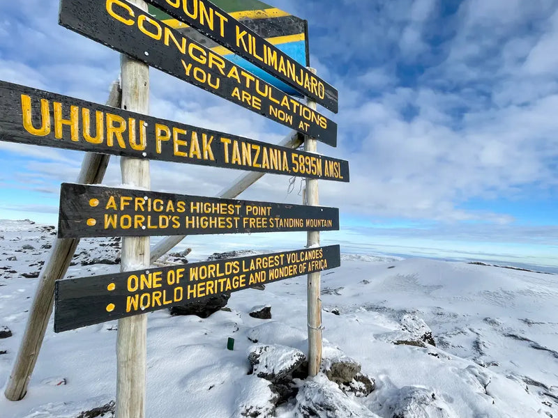 Interview with Jeremy - Marangu Route | Summiting Mount Kilimanjaro