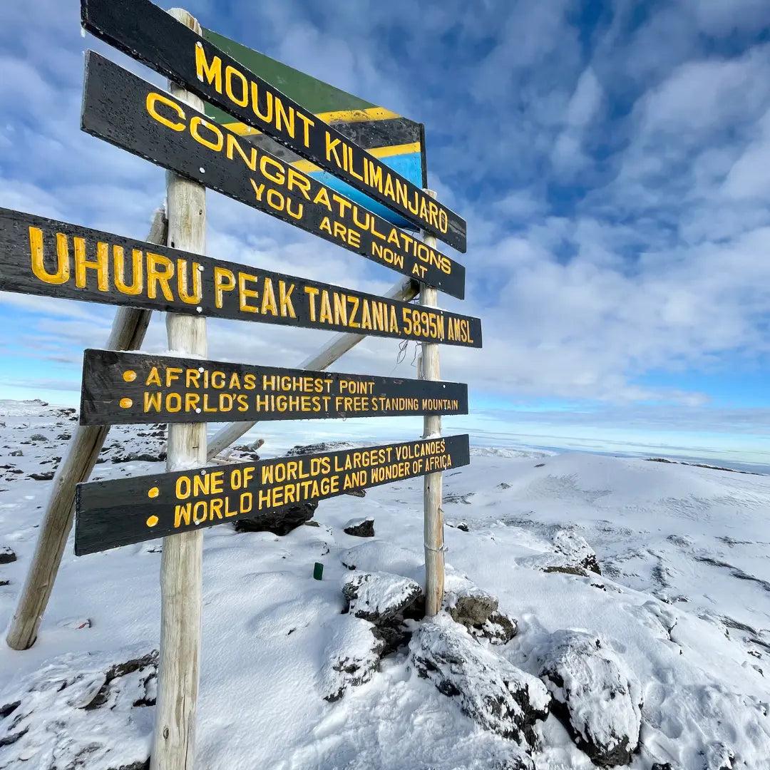 Interview with Jeremy - Marangu Route | Summiting Mount Kilimanjaro