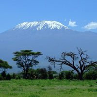 Trail Talk | Hiking Mount Kilimanjaro with Donovan