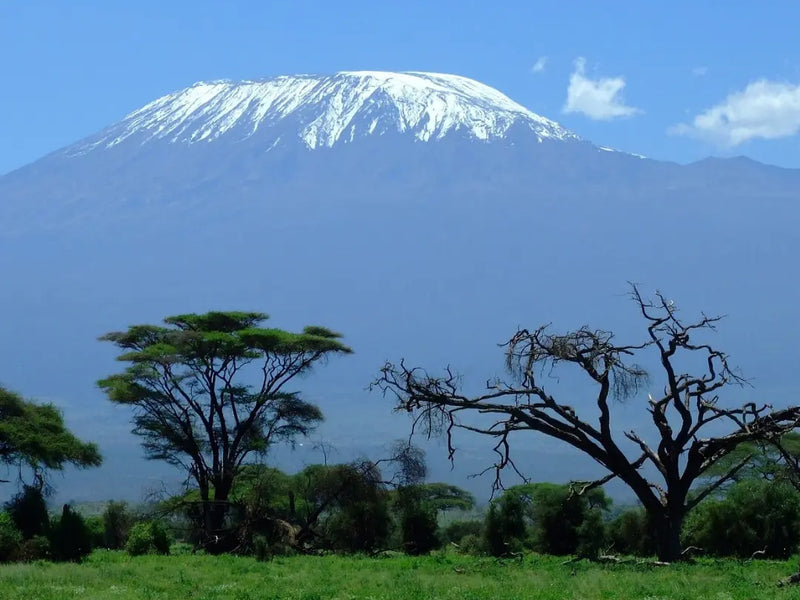 Trail Talk | Hiking Mount Kilimanjaro with Donovan