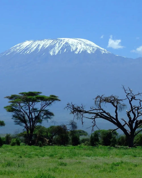 Trail Talk | Hiking Mount Kilimanjaro with Donovan
