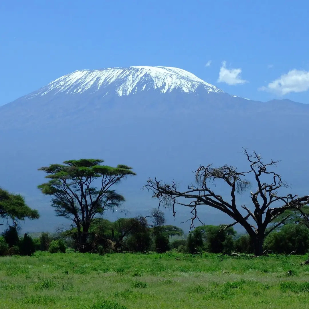 Trail Talk | Hiking Mount Kilimanjaro with Donovan