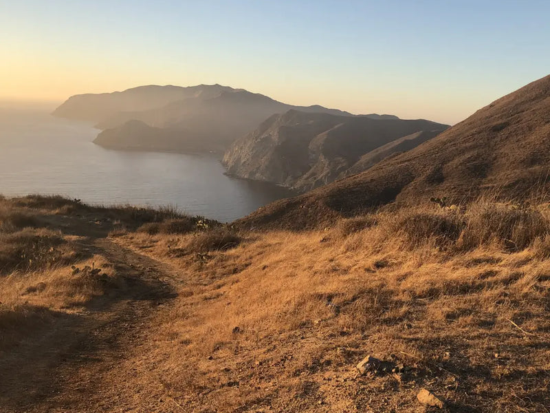 Interview with Brian - Trans-Catalina Trail