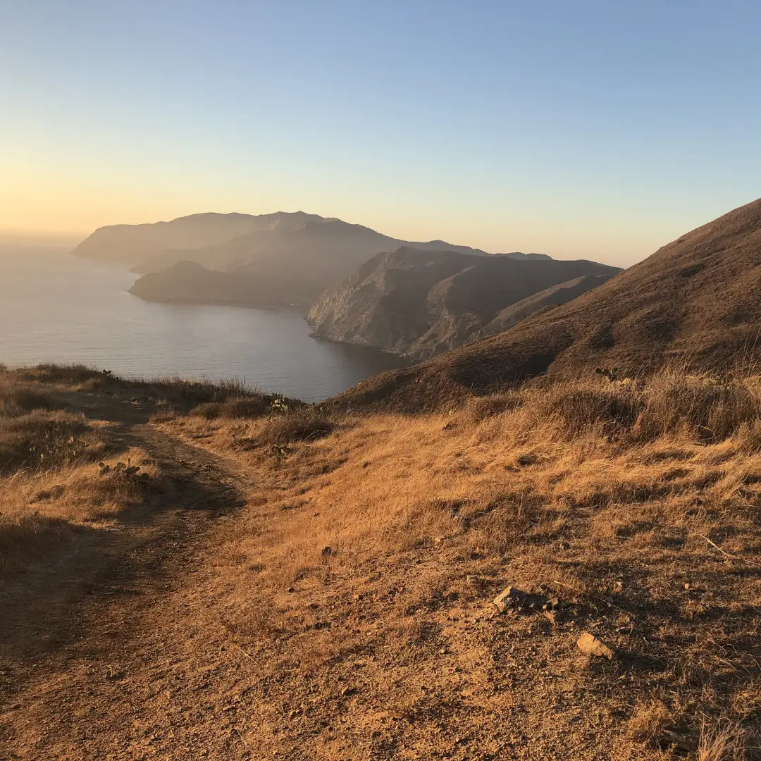 Interview with Brian - Trans-Catalina Trail