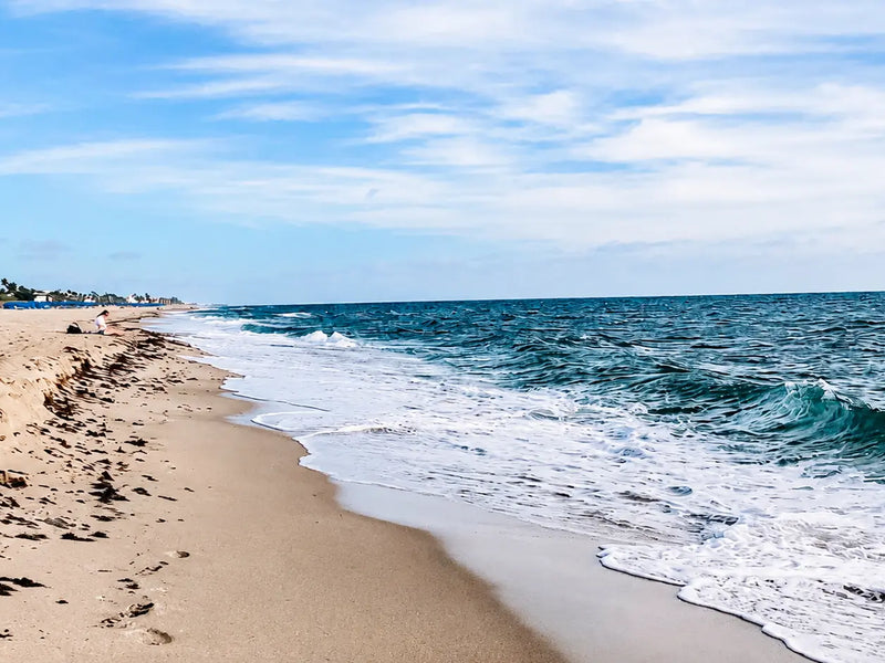 Catch-up | On The Trail With Constantine | Part 3 Of An 8000+ Mile Hiking Season | Florida Trail