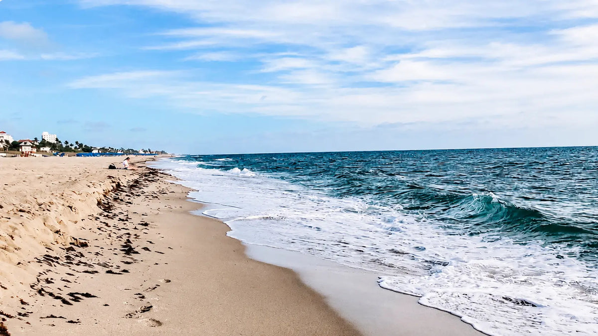Catch-up | On The Trail With Constantine | Part 3 Of An 8000+ Mile Hiking Season | Florida Trail