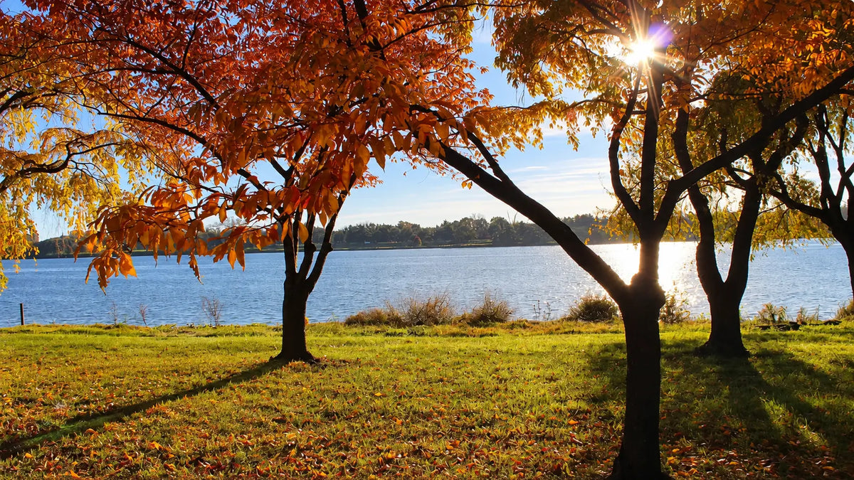 Catch-up | On The Trail With Constantine | Part 4 Of An 8000+ Mile Hiking Season | Potomac Heritage