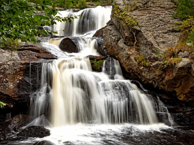 Catch-up | On The Trail With Constantine | Part 5 Of An 8000+ Mile Hiking Season | New England Trail