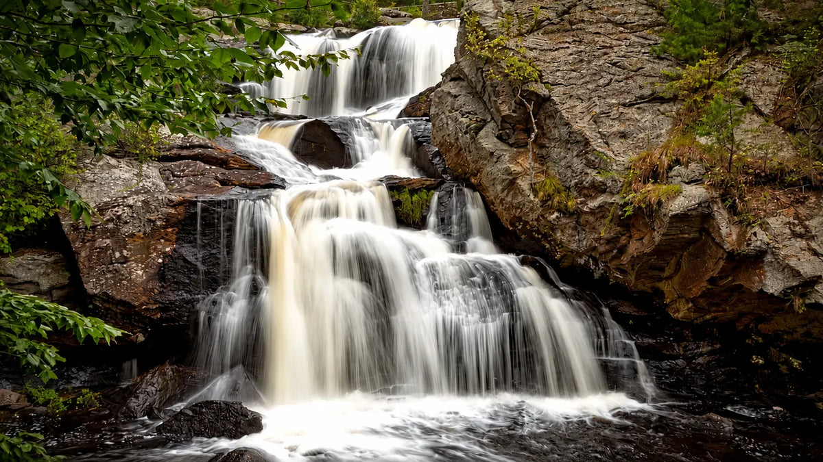 Catch-up | On The Trail With Constantine | Part 5 Of An 8000+ Mile Hiking Season | New England Trail