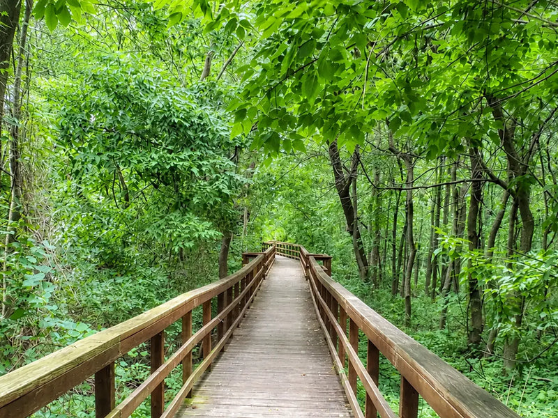 Catch-up | On The Trail With Constantine & Magpie | Part 7 Of An 8000+ Mile Hiking Season | NCT