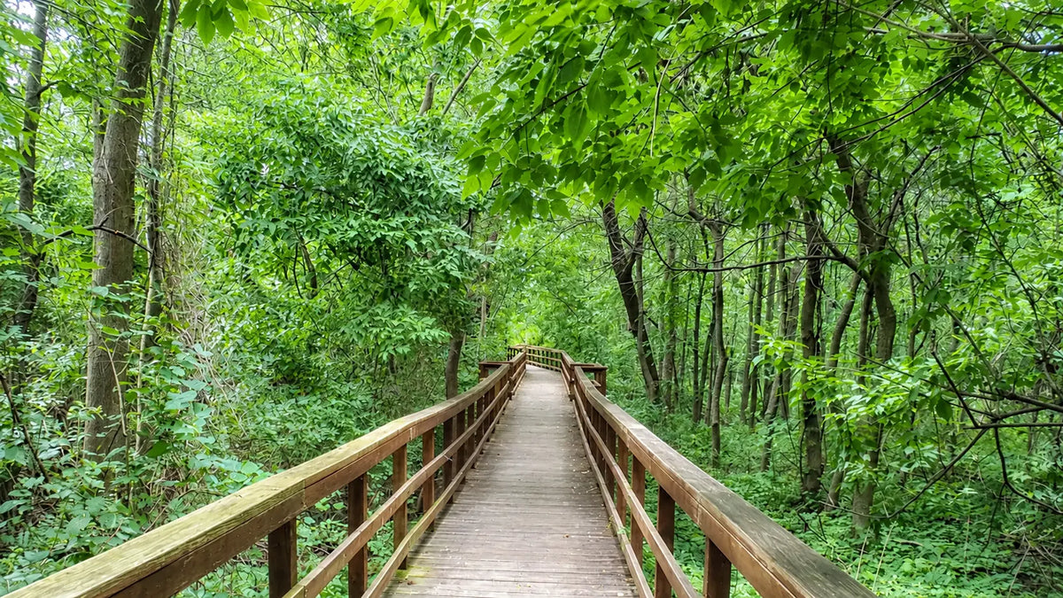 Catch-up | On The Trail With Constantine & Magpie | Part 7 Of An 8000+ Mile Hiking Season | NCT