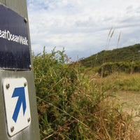 Our Great Ocean Walk: Where It All Started