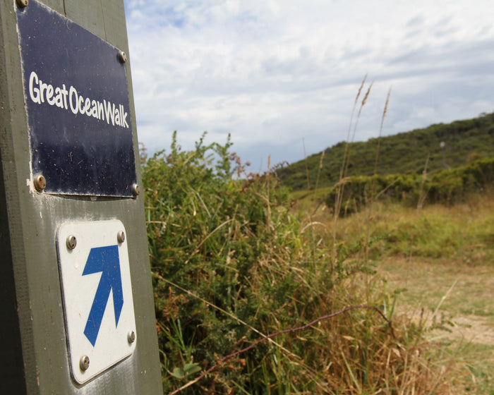 Our Great Ocean Walk: Where It All Started
