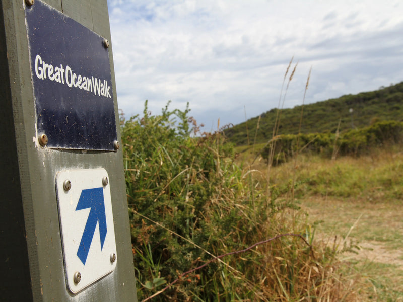 Our Great Ocean Walk: Where It All Started