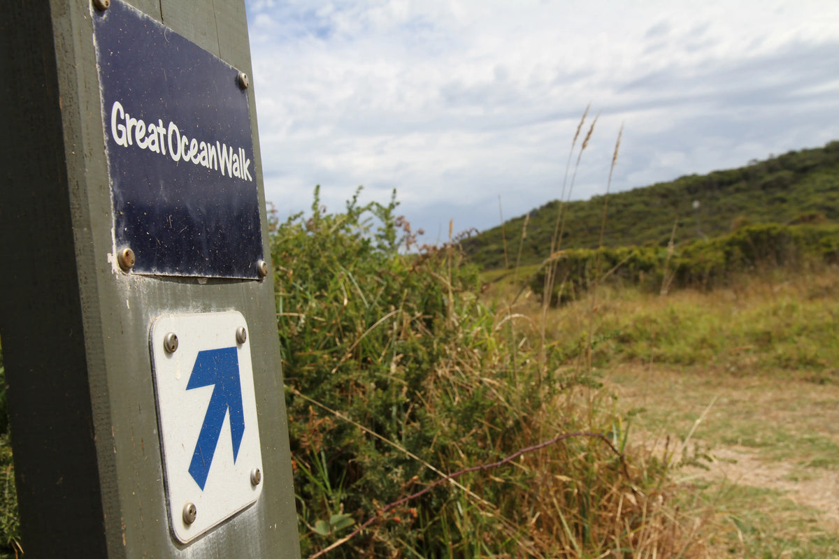 Our Great Ocean Walk: Where It All Started