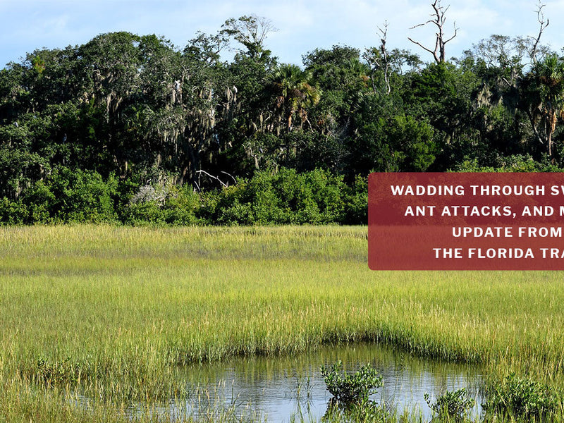 Catch-up | On The Trail With Constantine | Part 1 Of An 8000+ Mile Hiking Season | Florida Trail