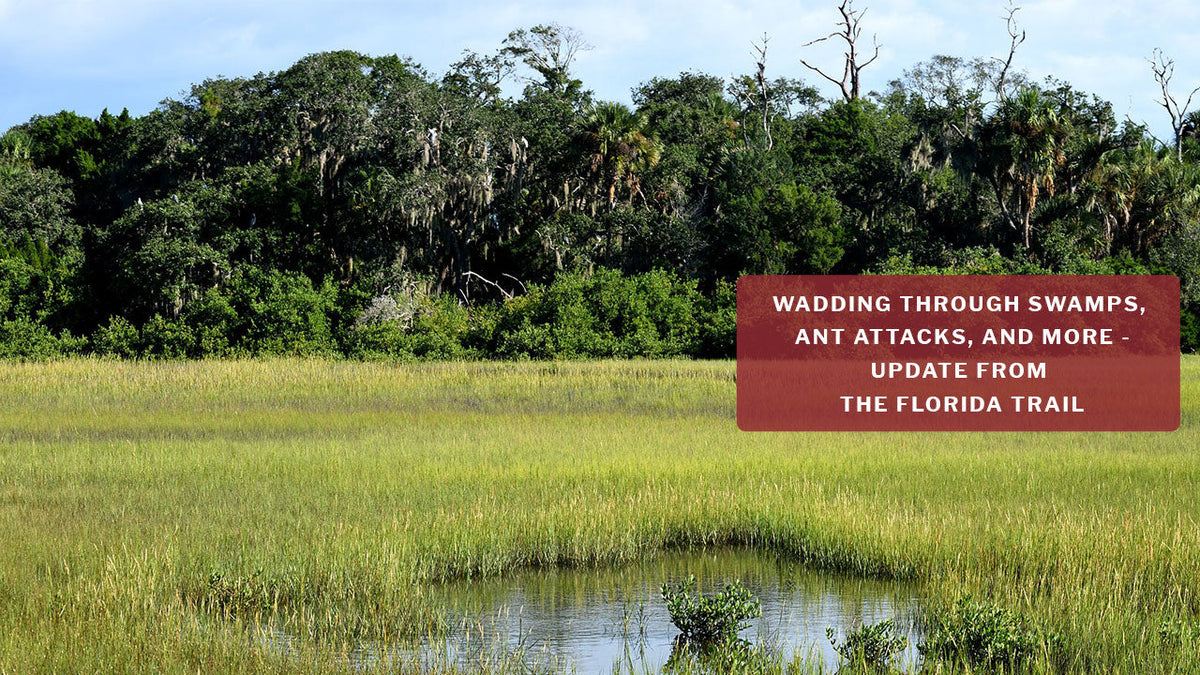 Catch-up | On The Trail With Constantine | Part 1 Of An 8000+ Mile Hiking Season | Florida Trail