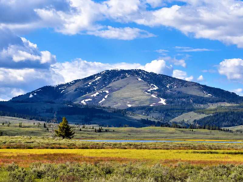 Trail Talk | Becoming a Full-Time Hiker | Mindset, Sacrifices | Continental Divide Trail