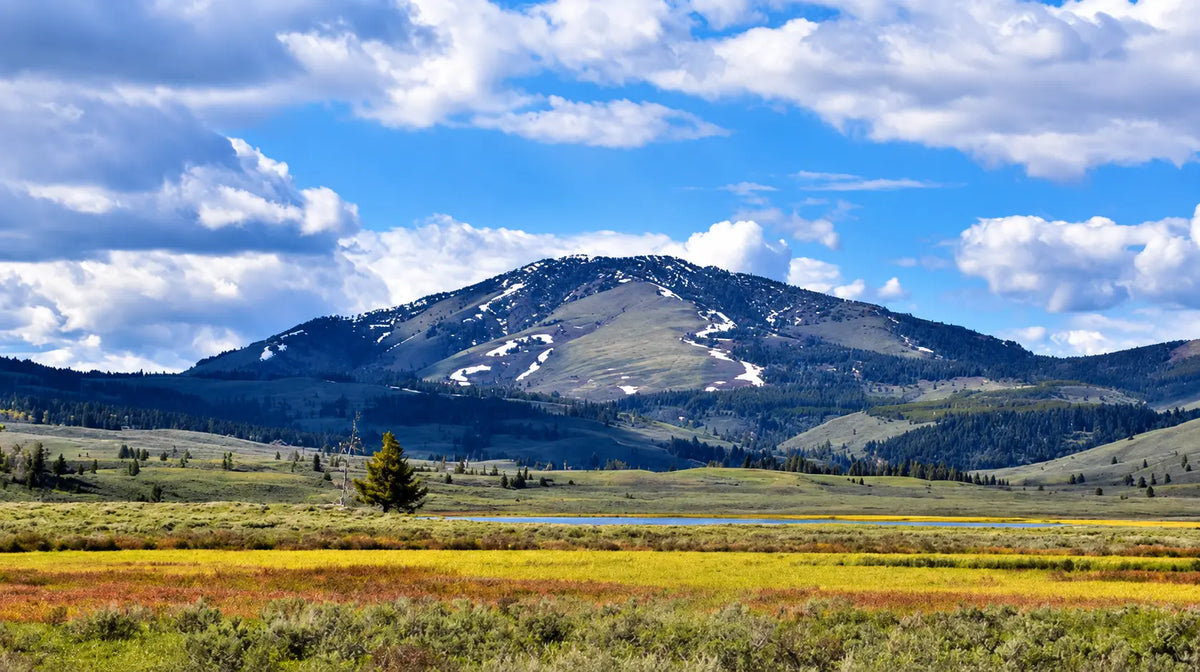 Trail Talk | Becoming a Full-Time Hiker | Mindset, Sacrifices | Continental Divide Trail