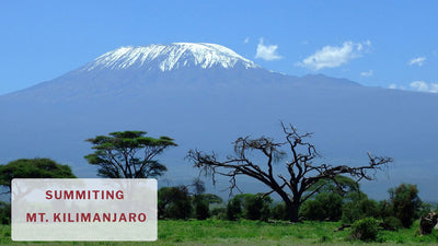 Interview with Jeremy - Marangu Route | Summiting Mount Kilimanjaro