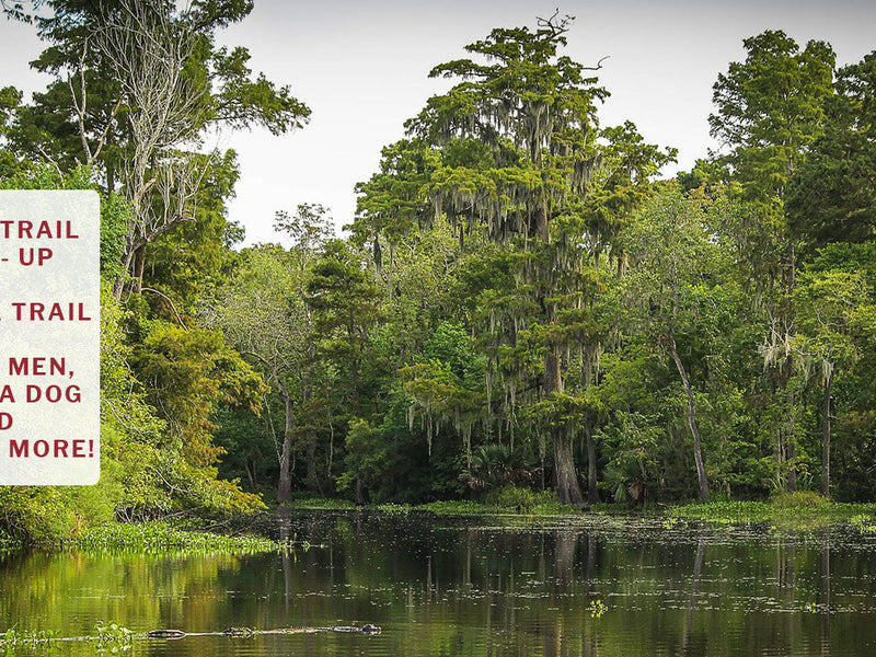 Catch-up | On The Trail With Constantine | Part 2 Of An 8000+ Mile Hiking Season | Florida Trail