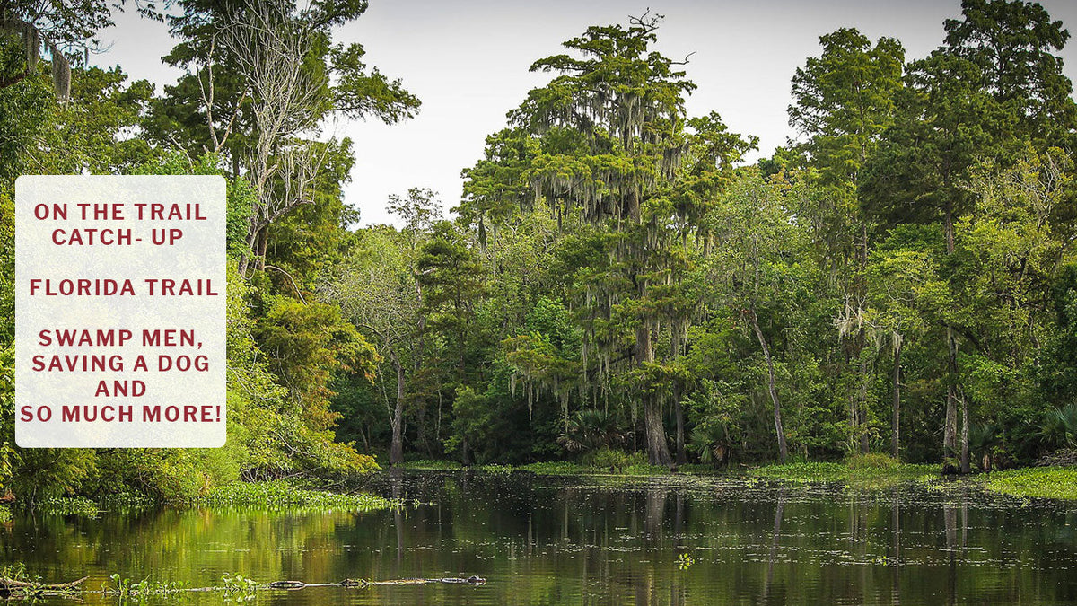 Catch-up | On The Trail With Constantine | Part 2 Of An 8000+ Mile Hiking Season | Florida Trail