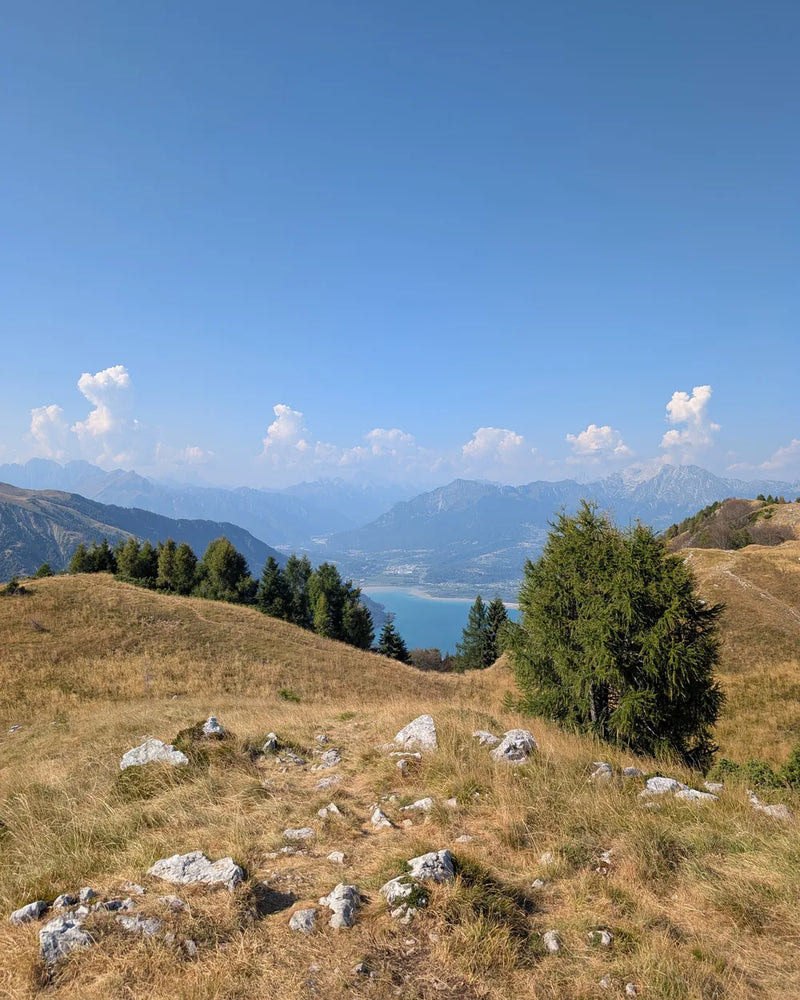 An alpine meadow high above a lake in Italy