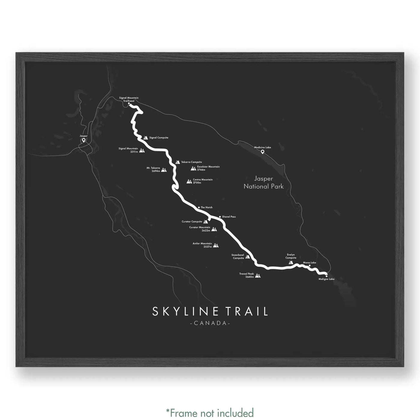 Trail Poster of Skyline Trail - Grey